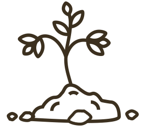 neupert-steinselb-duenger-kompost-icon neupert-steinselb-duenger-kompost-icon